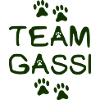 team gassi