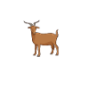 Kaffee und Roveziege