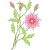Fleur