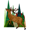 Deer