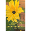 Sunflower with Inspirational Quote