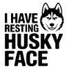 Resting Husky Face Funny Dog Quote 