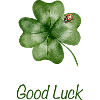 Good Luck – Shamrock with Ladybug