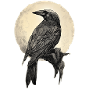 Raven