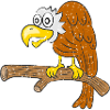 Oiseau vautour