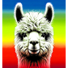 Alpaca