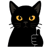 Bold Black Cat Thumbs Up Illustration