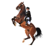Cavalier élégant sur cheval cabré