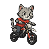Motocross Cat