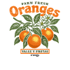 Oranges - fresh fruits - fruit gift