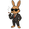 Top G Toni Bunny
