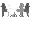 Dog breeds family motif