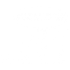 Evolution error (white)