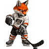 Füchse Eishockey