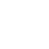 Team Tofu – Vegan Statement