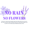 No Rain, No Flowers