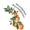 Haven Harbour Orange
