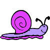 snail shell snail slug smiles sweetly
