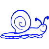 snail shell snail slug smiles sweetly