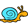 snail shell snail slug smiles sweetly