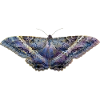 Blauer Schmetterling