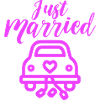Just Married Wedding Car Wedding
