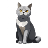 Elegant gray cat illustration