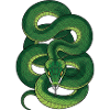 Serpent