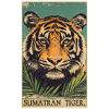 Tigre de Sumatra