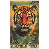 Tigre de Sumatra