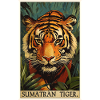Tigre de Sumatra