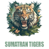 Tigre de Sumatra