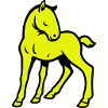 Cheval mignon