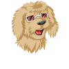 Golden Doodle Dad Dog with Sunglasses