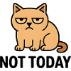 Muffelige Katzenmimik auf witzigem Gesicht