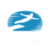 Diving diving board