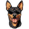 cool Doberman dog with sunglasses :)