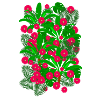 Flowers Forest