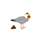 Tüddelkopp Möwe
