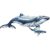 Whale And Calf Animal Lover