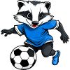 Dachse Fussball