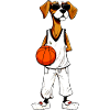 Basket-ball canin