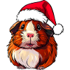 Santa Claus Guinea Pig