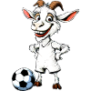 Chèvres Football / Chèvre footballeuse