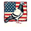 Pigeon fanciers Happy Coops Ahead