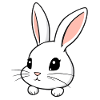 Cute Bunny