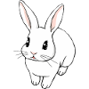 Cute and Expressive Bunny - Cute Illustration