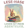 Rabbit reading with adventure style