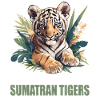 Sumatra-Tiger