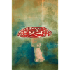 Fliegenpilz